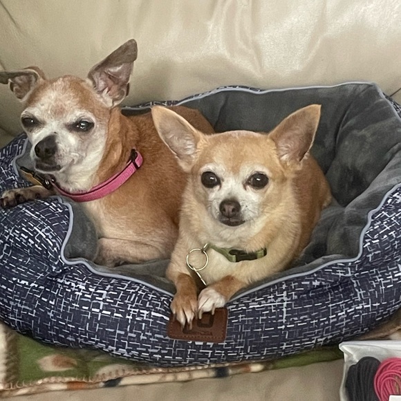 Meet your Posher, Samantha - Picture 5 of 6